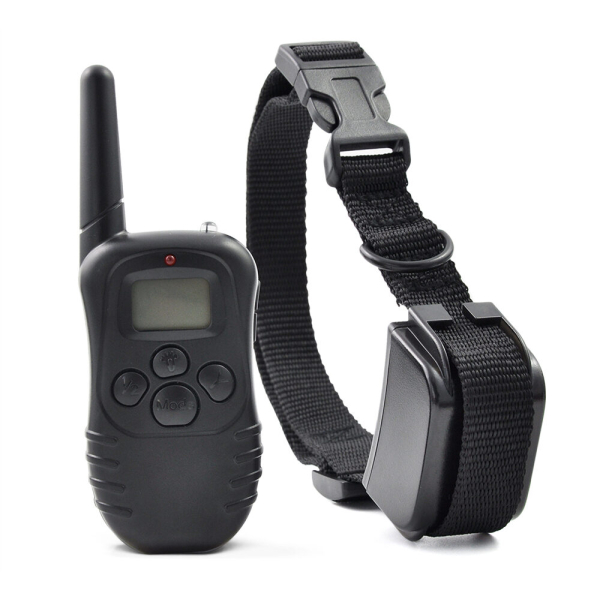 Entrenador de perros trainer 2