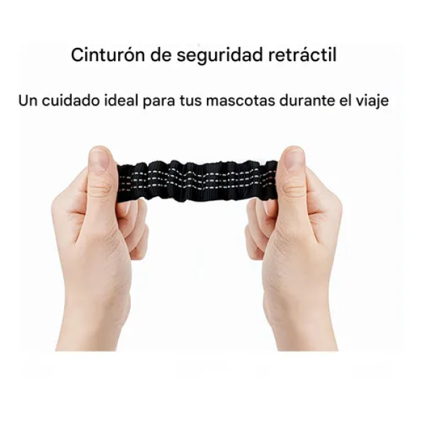 cinturon de seguridad para mascotas - Imagen 3