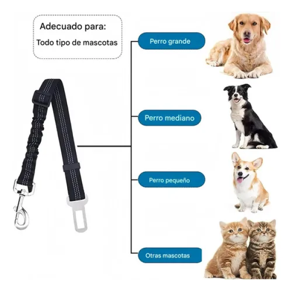 cinturon de seguridad para mascotas - Imagen 4