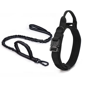 Collar y Correa Para Mascotas Talle XL