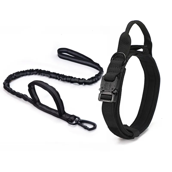 Collar y Correa Para Mascotas Talle XL