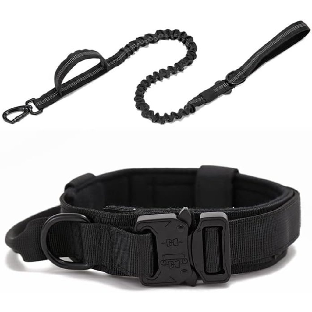 Collar y Correa Para Mascotas Talle L