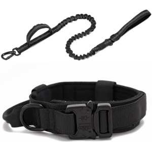 Collar y Correa Para Mascotas Talle L