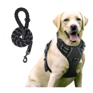 Kit De Correa Y Pretal Ajustable Para Perros Talle XL