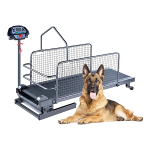 Cinta Caminadora De Entrenamiento Para Perros En Rehabilitación
