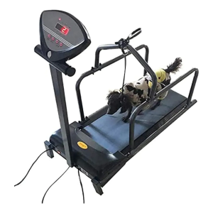 Maquina Caminadora De Entrenamiento Para Perros En Rehabilitación