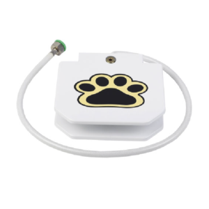 Accesorios para perros