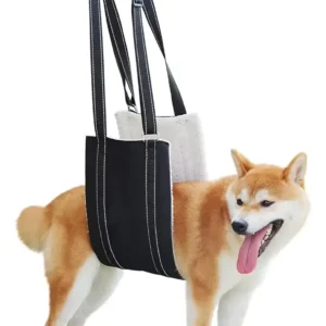 Arnes Ortopedico Para Perros Paseo Hasta 36kg Talle L