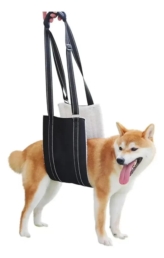 Arnes Ortopedico Para Perros Paseo Hasta 36kg Talle L