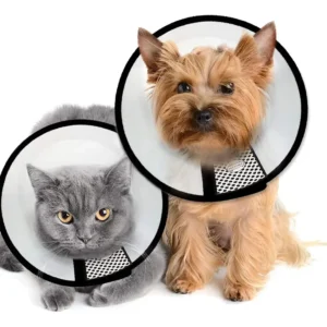 Collar Isabelino Ajustable Para Perros Y Gatos Pequeños