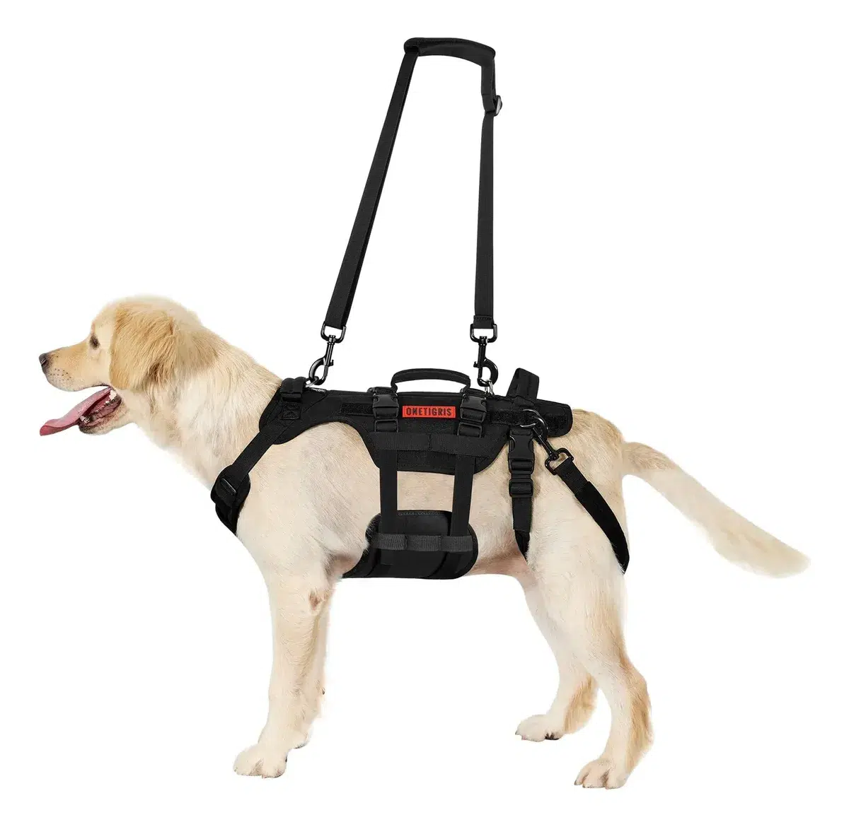 Arnes De Elevacion Para Perros Ortopedico Con Correa Talle L