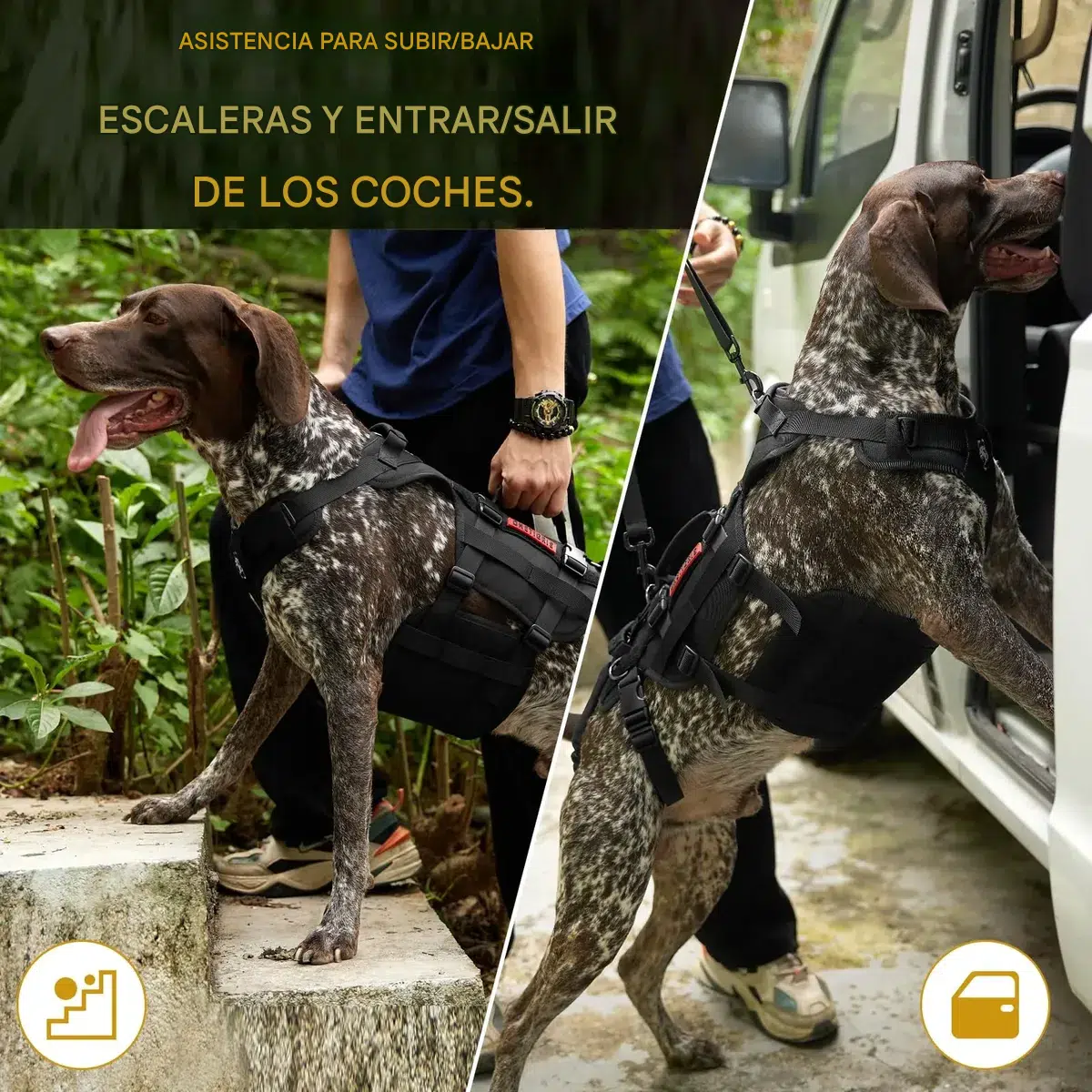 Arnes De Elevacion Para Perros Ortopedico Con Correa Talle L - Imagen 5