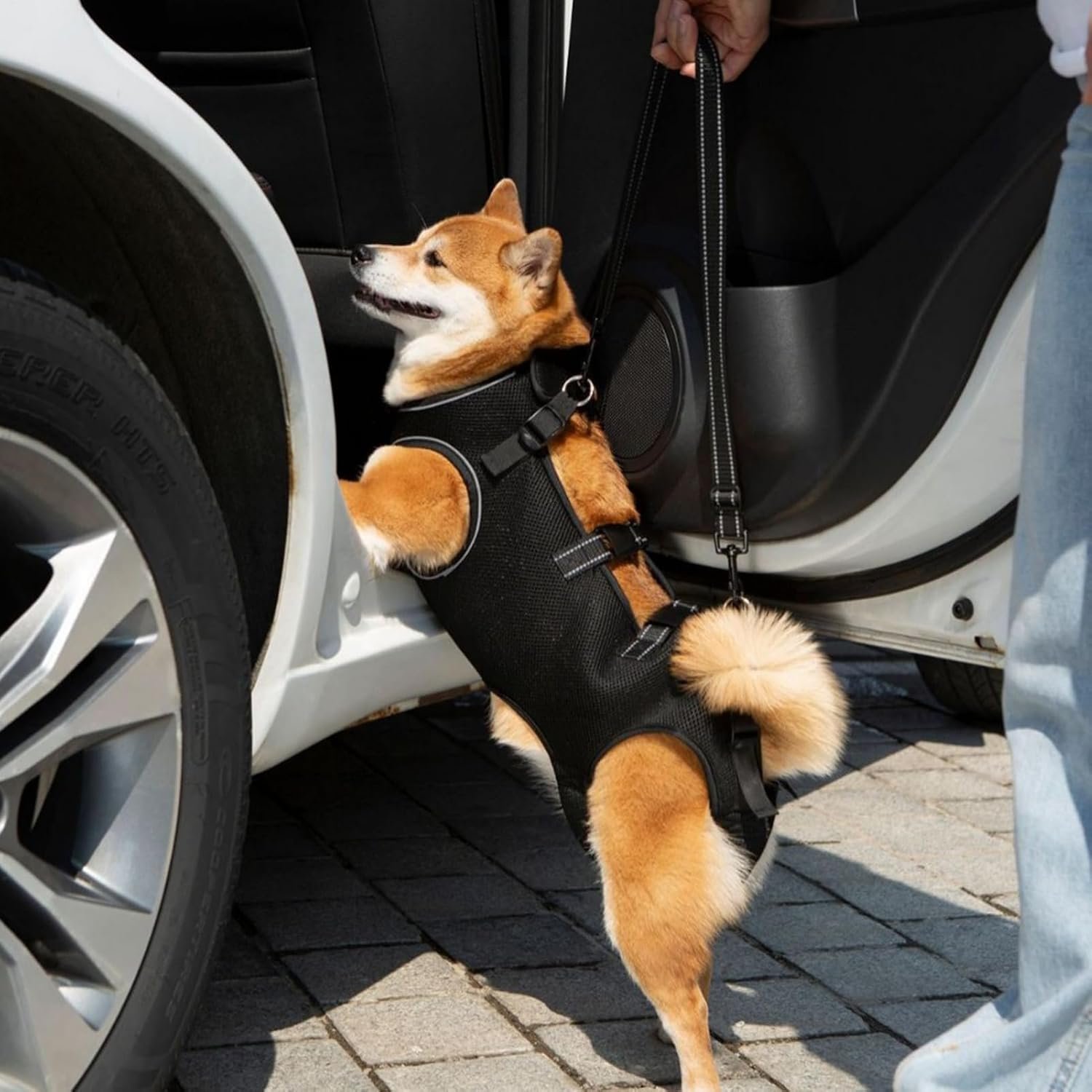 Arnes De Elevacion Para Paseo Mascotas Ortopedico Talle L - Imagen 3