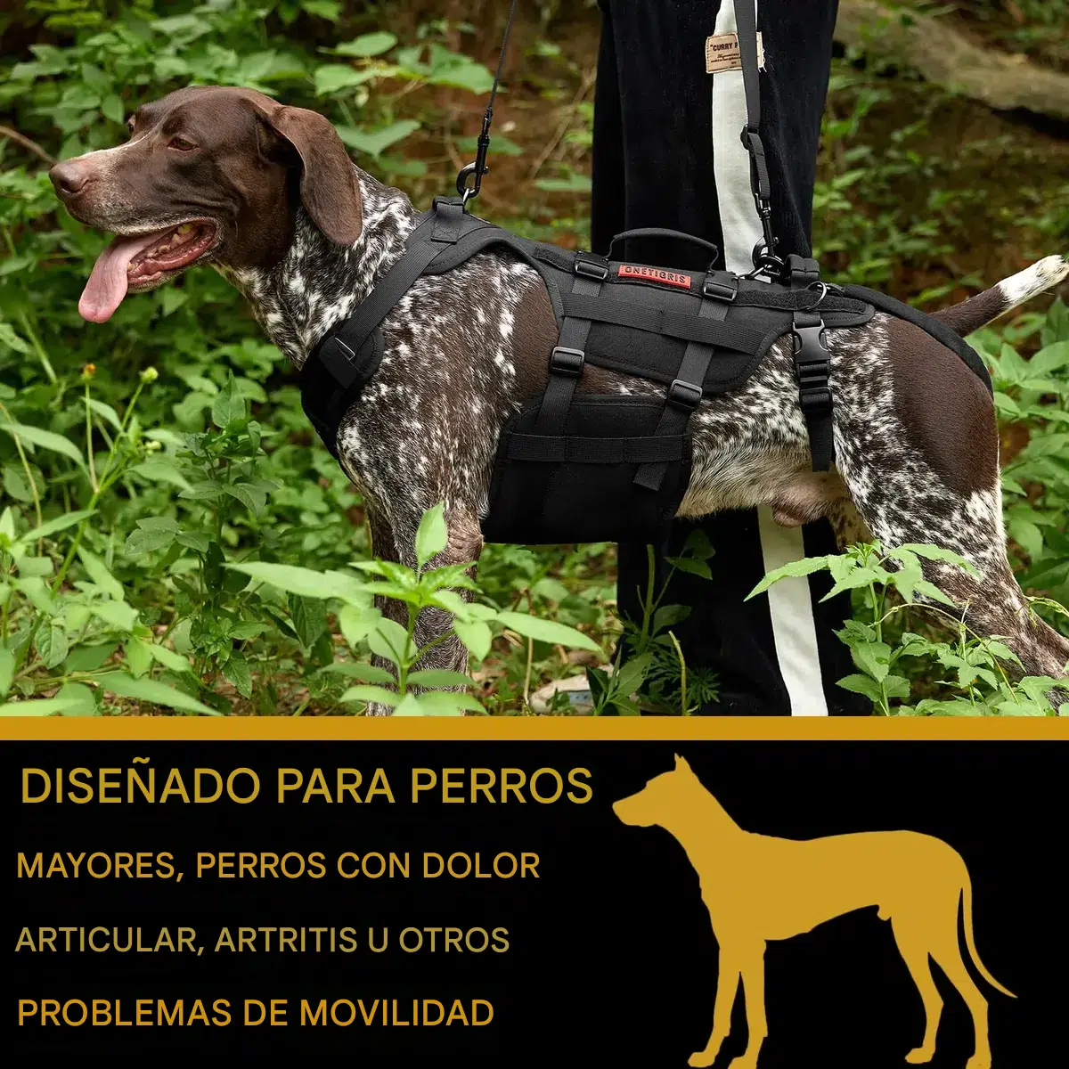 Arnes De Elevacion Para Perros Ortopedico Con Correa Talle L - Imagen 6