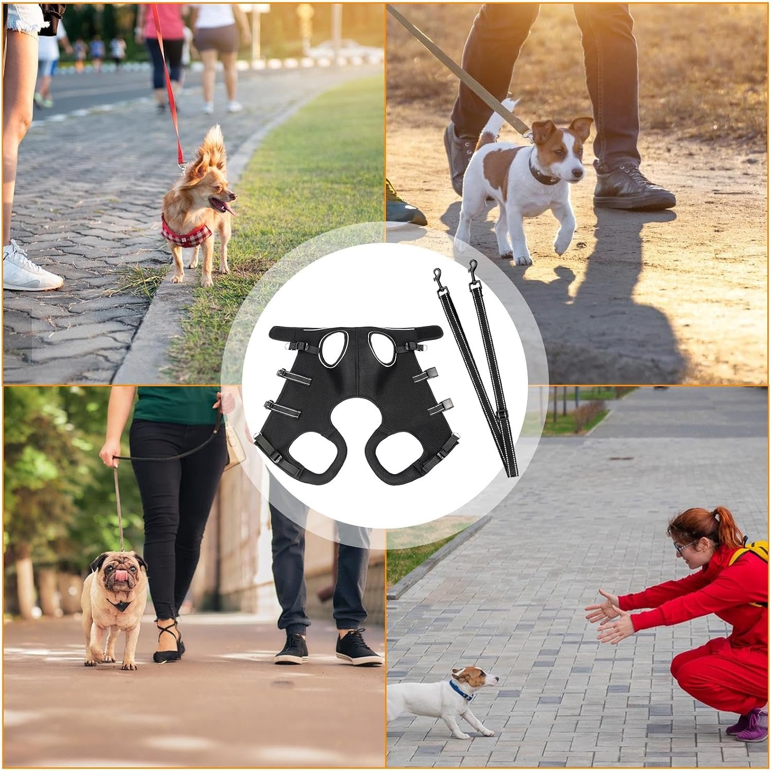 Arnes De Elevacion Para Paseo Mascotas Ortopedico Talle L - Imagen 5