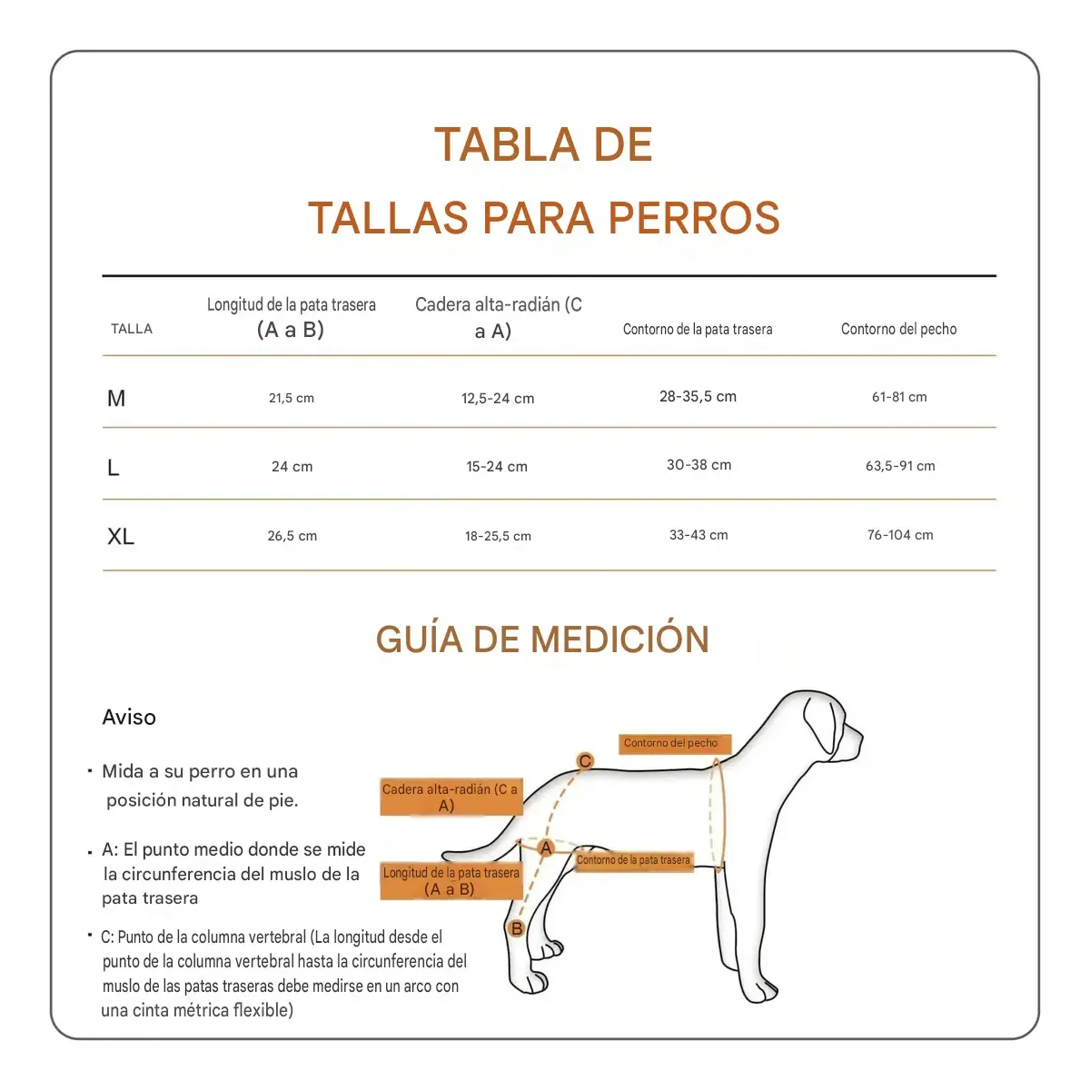 Arnes Ortopedico Para Paseo De Mascotas Con Rodillera Y Correa Talle L - Imagen 3
