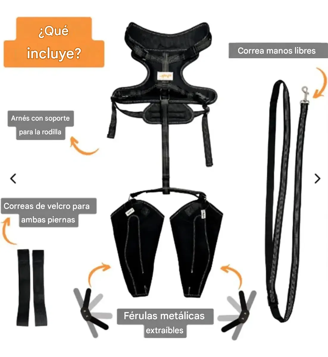 Arnes Ortopedico Para Paseo De Mascotas Con Rodillera Y Correa Talle L - Imagen 4