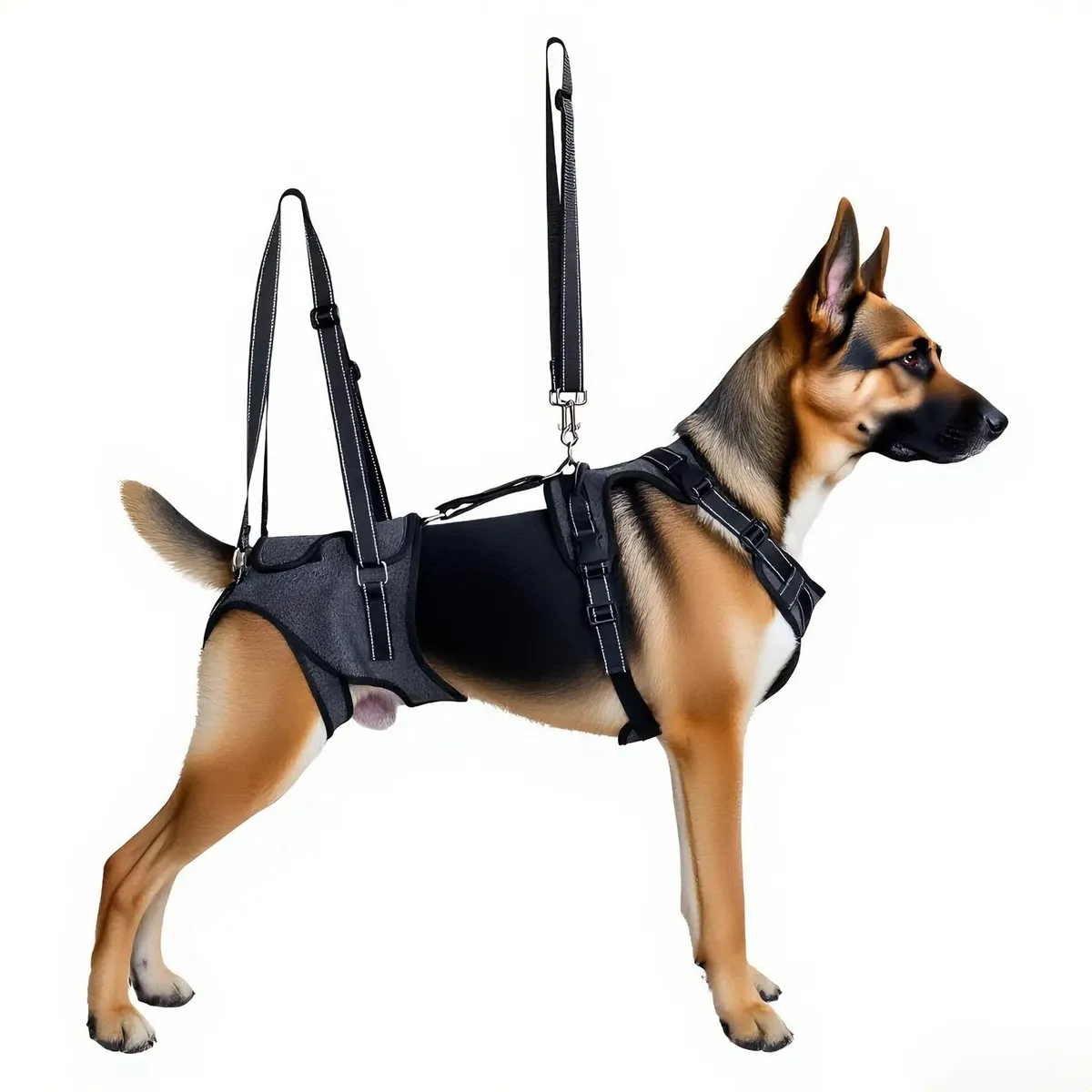 Arnes Ortopedico Doble Agarre Elevacion Para Perros Talle XL